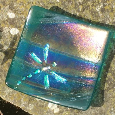 Dragonfly blue shimmer