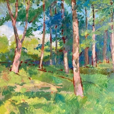 sunshine and shadows oil