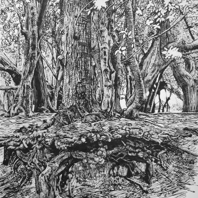 Duality / ink / 16 x 12