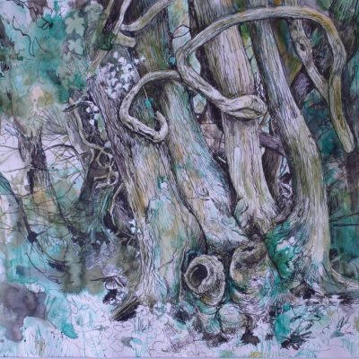 Green Corduroy / ink /