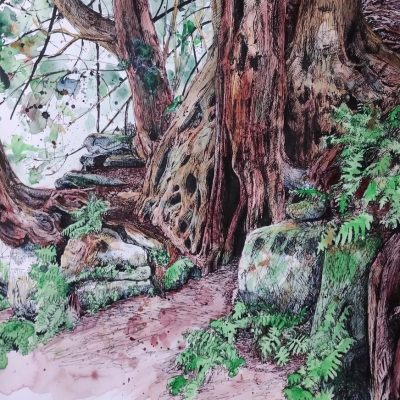 Congregate/ink/50x70cm