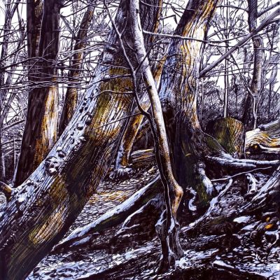 January/ink on kaolin/16x12