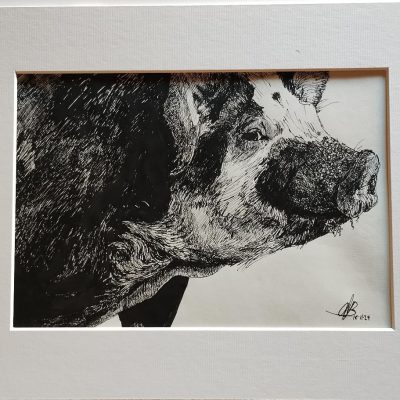 Piggywink/ink/sort of A4